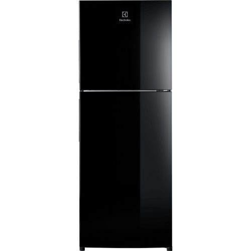 10045888 Tu Lanh Electrolux Inverter 230l Etb2502j H 1