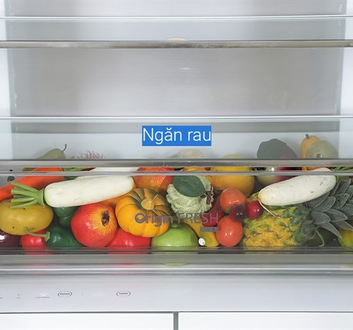 Tu Lanh Toshiba Inverter 515 Lit Gr Rf669wi Pgv A9 Bg8 700x467